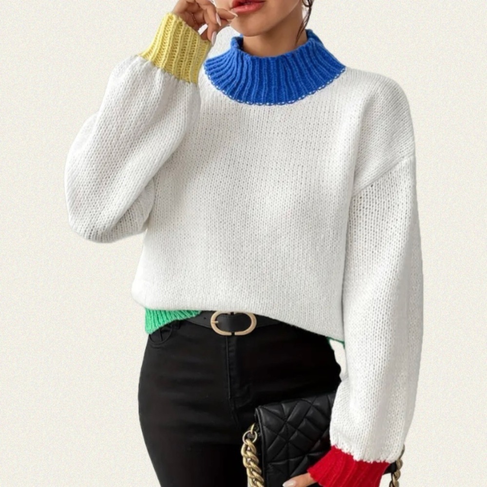 Colorblock High Neck Sweater - Picture 5 of 13